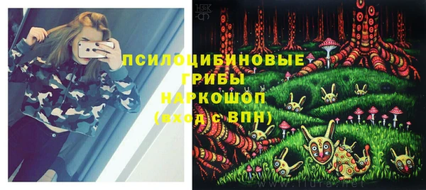 марки lsd Абаза