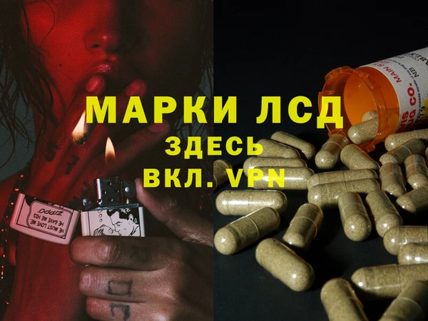 гашик Абинск