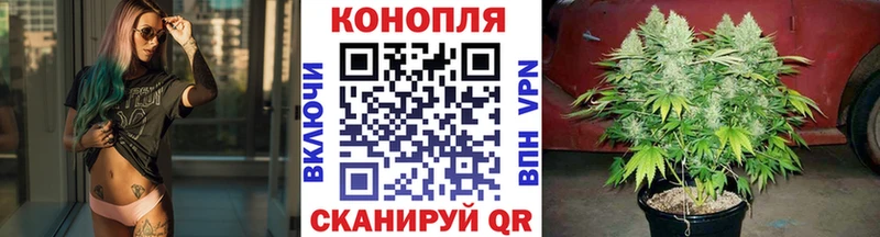 сайты даркнета Telegram Правдинск OMG вход Бошки Шишки гибрид купить наркотик